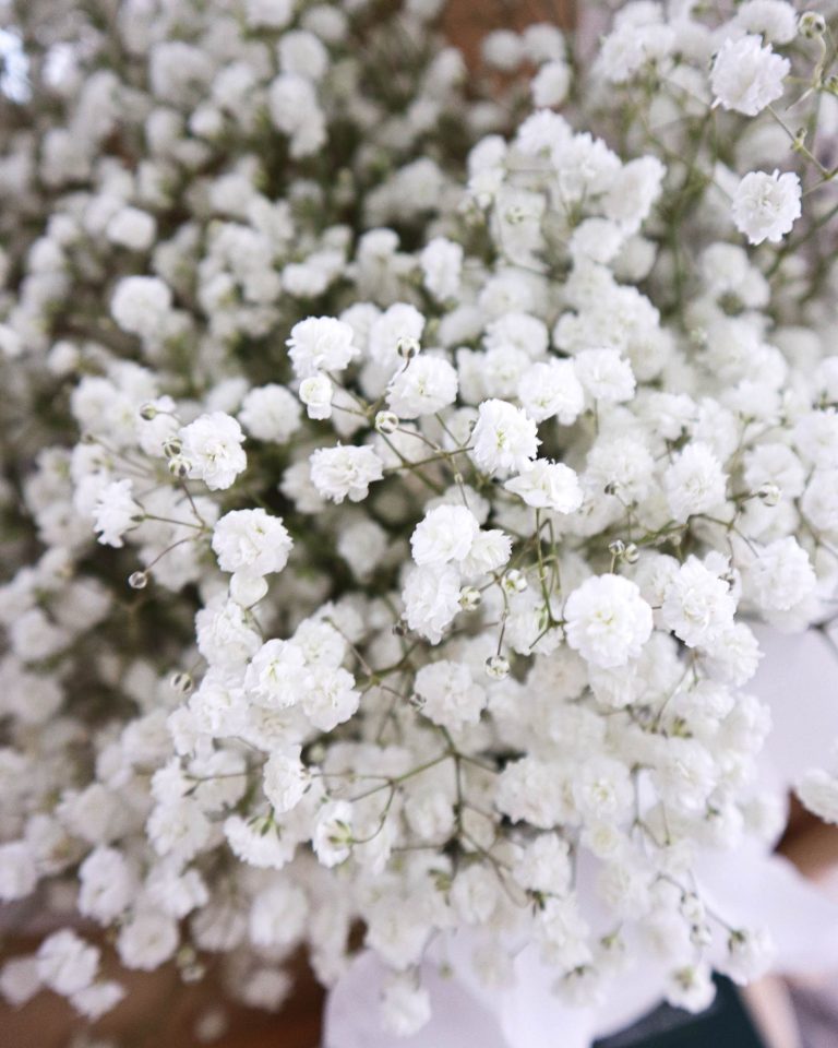 Hydrangea bouquet - Flowers and Kisses